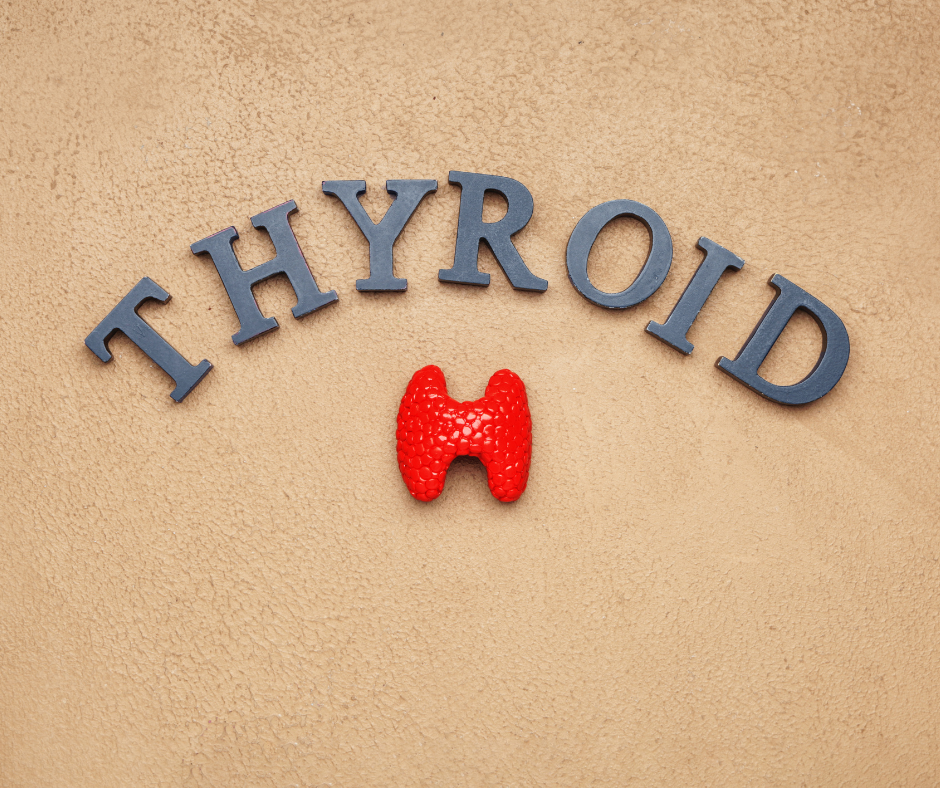 how-does-your-thyroid-affect-your-overall-health-nutrametrix-blog