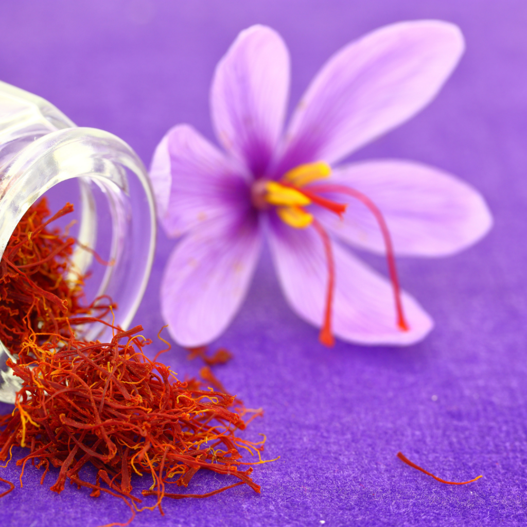 Saffron’s antioxidant actions have been correlated to its work to help maintain normal learning and memory, and support neurological health.
