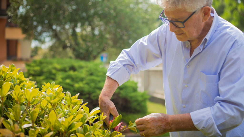Here’s where it gets fascinating: of all the nutrients your body needs, only a handful are produced internally, and often in limited quantities. For instance, your body can make vitamin D when exposed to sunlight, and vitamin K2 is produced by certain gut bacteria. However, most vitamins — like vitamin C, the B vitamins, and minerals like zinc, iron, and calcium — need to come from your diet or supplements. Even vitamin D can be tricky to get enough of, especially if you spend most of your time indoors or live in northern climates